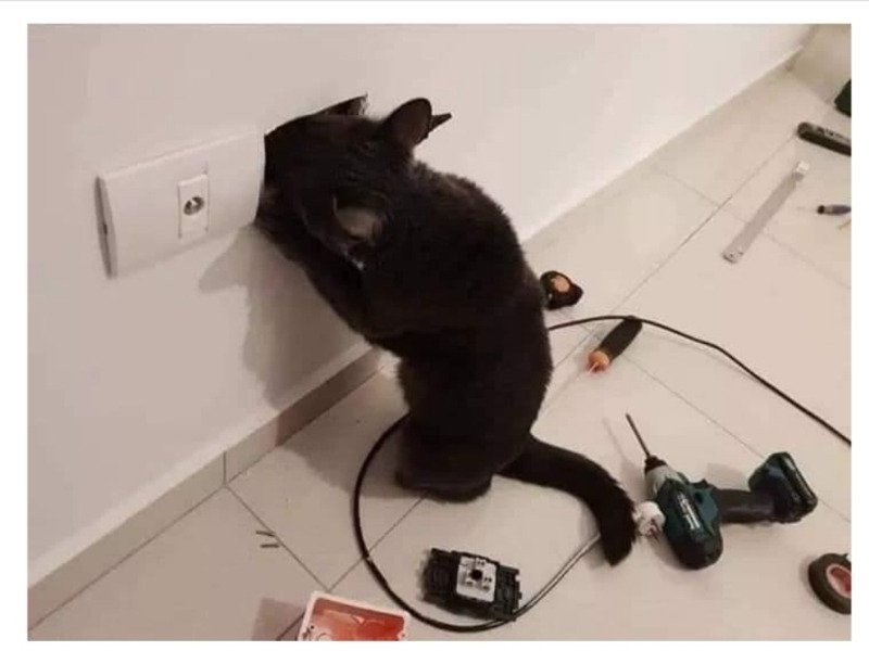 an electric shock accident while repairing a power outlet