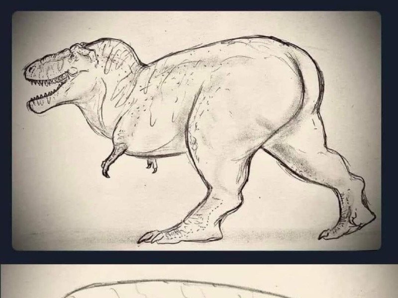 The Secret of the Tyrannosaurus Tail