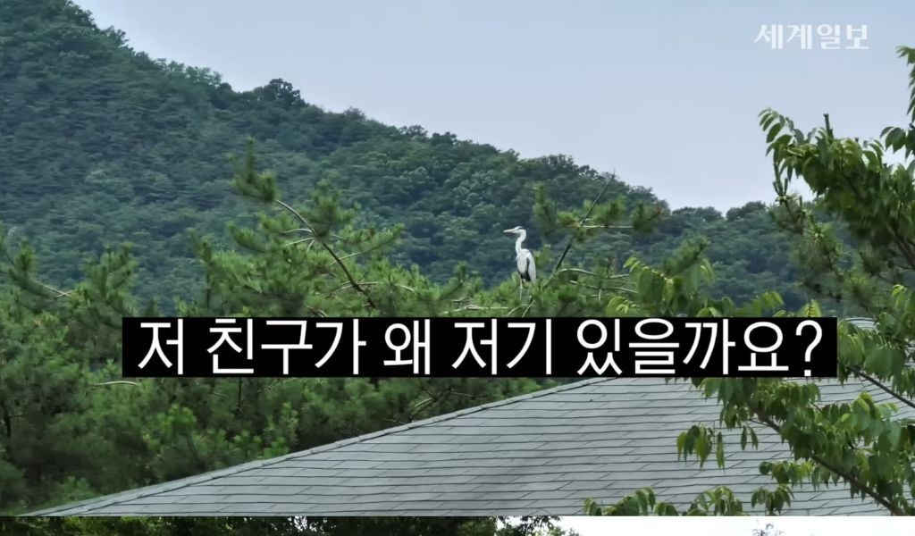 Cheongju Zoo Says It Runs Nature-Friendly