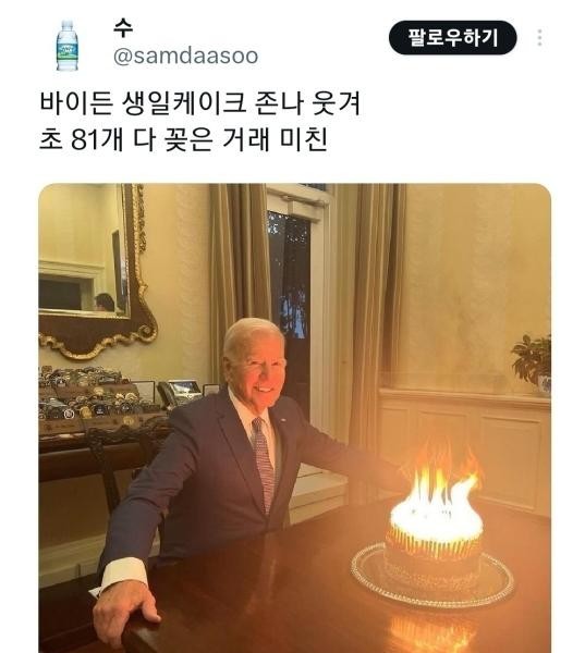 Biden's birthday cake