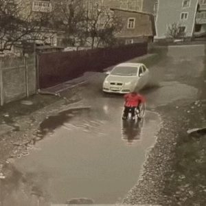 A manly man helping his grandmother, gif