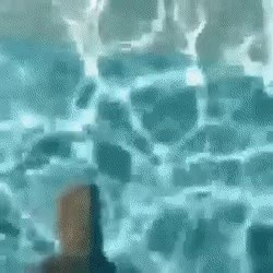 42nd floor glass floor swimming pool real life gif