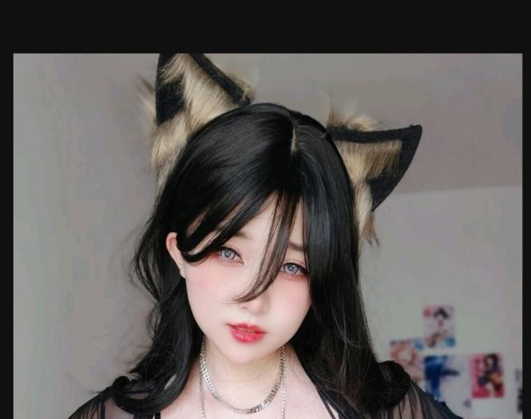 Like or dislike cosplay fox ears leopard bra pants big chest