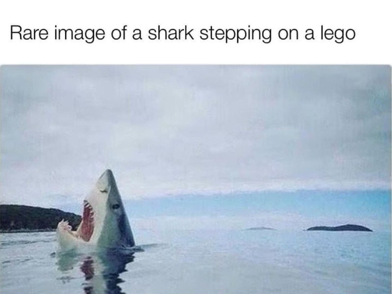 A shark stepping on Lego