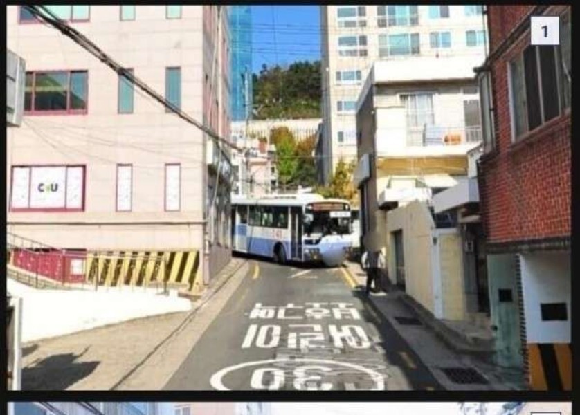 Amazing Busan Bus Characteristics