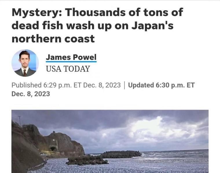How Japan Is Upended by Fish Cadaver