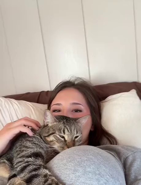 (SOUND)A cat cushion that makes you fall asleep