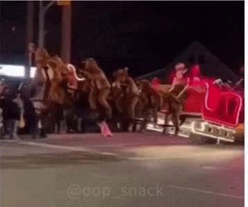 a sincere New York parade for Christmas