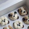 a dog cupcake