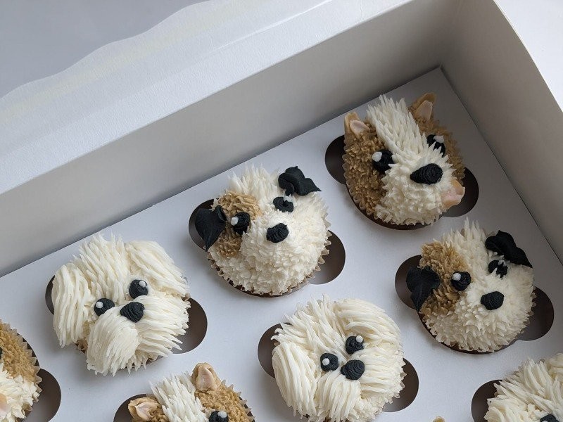 a dog cupcake