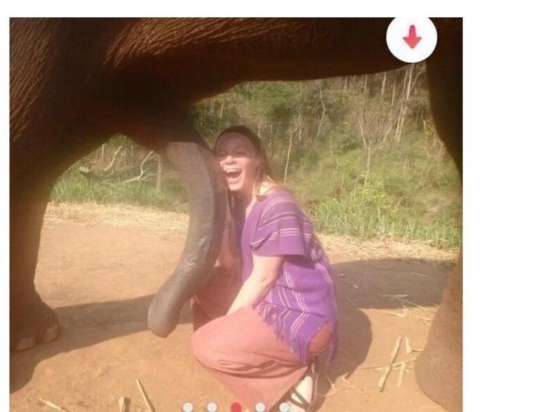The one who took a picture with the elephant