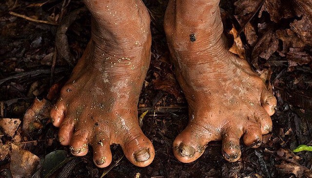 Amazon Tribe's Footshape Has Been Disconnected from Civilization for 1,000 Years