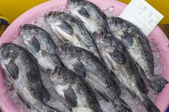 A public official who sent 100 rockfish as a promotion gift to his boss