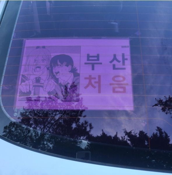 a novice driver in Busan