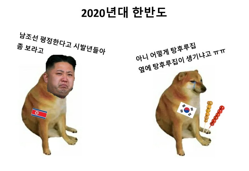 the situation on the Korean Peninsula in the past and present