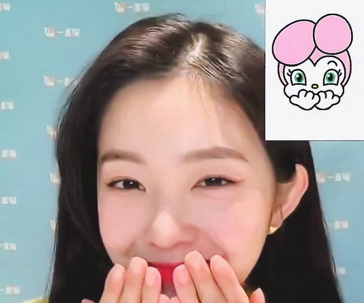 Irene's video call fan ssa gif is not worth her age