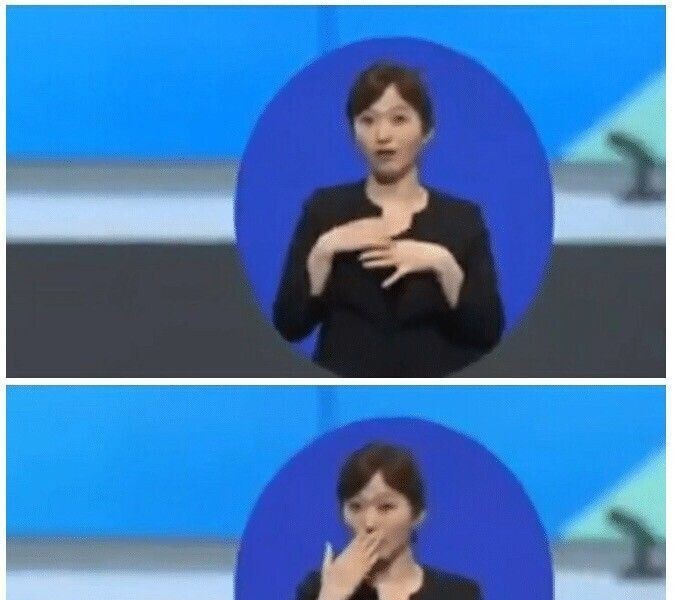 Confusing Sign Language Interpreters