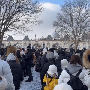 Everland gif in cold weather yesterday