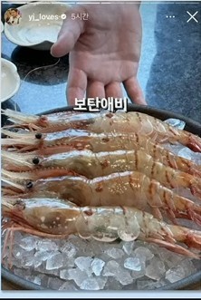 Jung Yongjin's Instagram photo of Dokdo shrimp is really