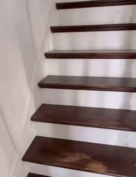 (SOUND)the rest of the dog's seat on the stairs