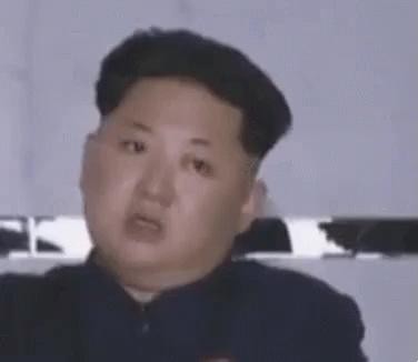 The landing of a North Korean fighter jet, gif