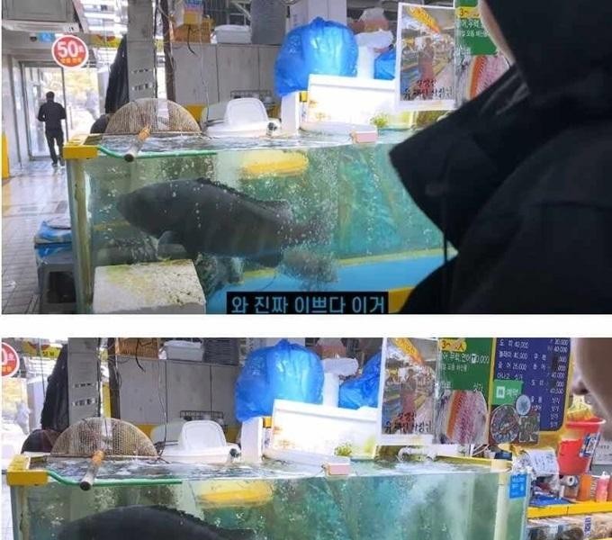 Sorae Port's 5 million won Neungseong fish jpg