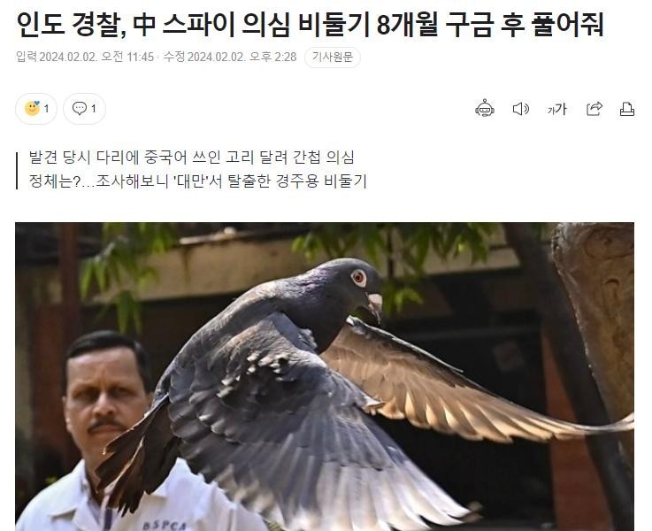Indian police release suspected spy pigeon after 8 months in custody