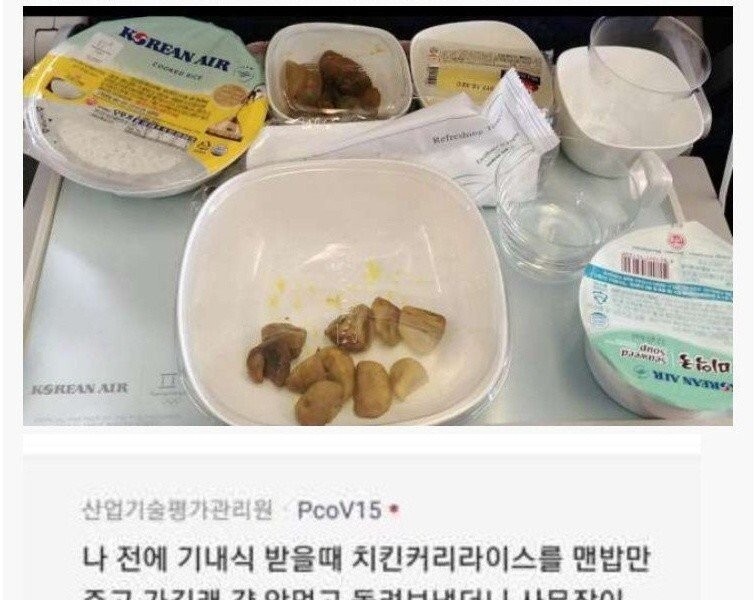 Korean Air flight attendants' complaints
