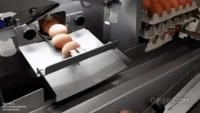 an automatic egg peeling machine