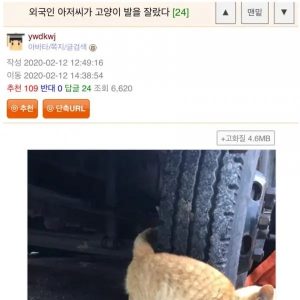 A foreigner cut a cat's foot.jpg