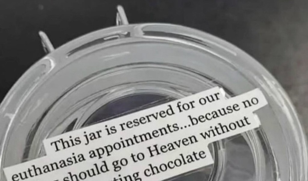 a hospital that gives chocolate to dogs