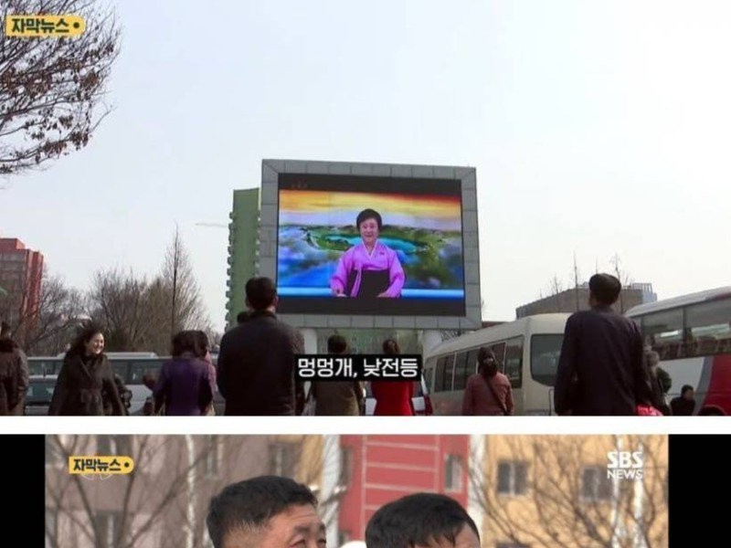 A word that a North Korean woman disparages her husband