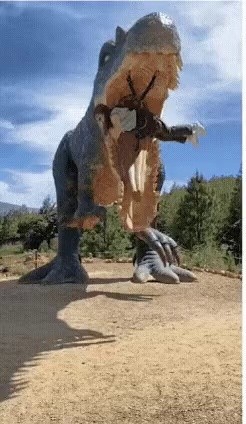 Dinosaur Feeding Experience