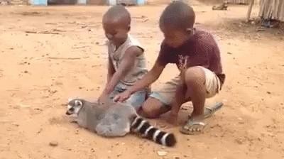 an animal exploiting children