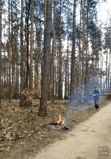 Cutting Trees Without an Ax