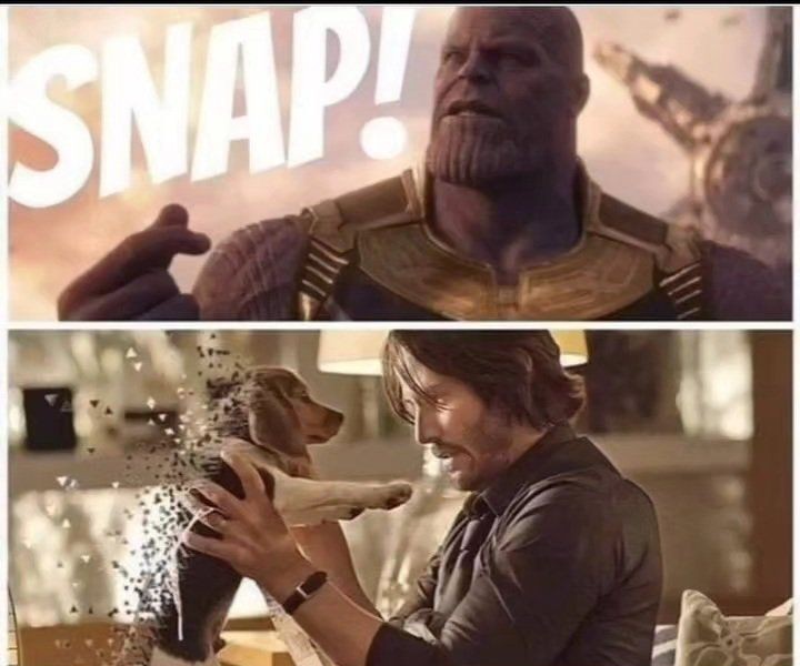 Thanos kills a dog with a finger snap