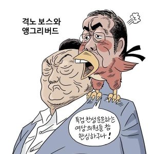 Park Soon-chan’s Jangdori cartoon
