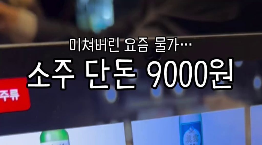 (SOUND)A bottle of soju costs 9,000 won in Gangnam.