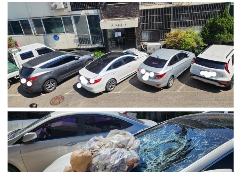 Car owner whose windshield was shattered by North Korea's poop balloon terror attack