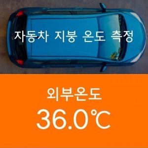 Midsummer roof temperature by car color