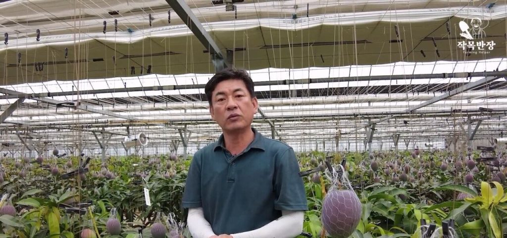 Apple Mango CEO criticizes fruit distribution structure