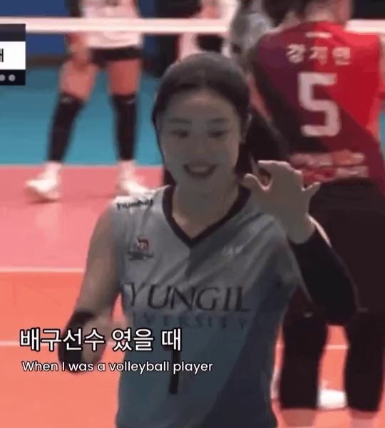Volleyball player second job change.gif.