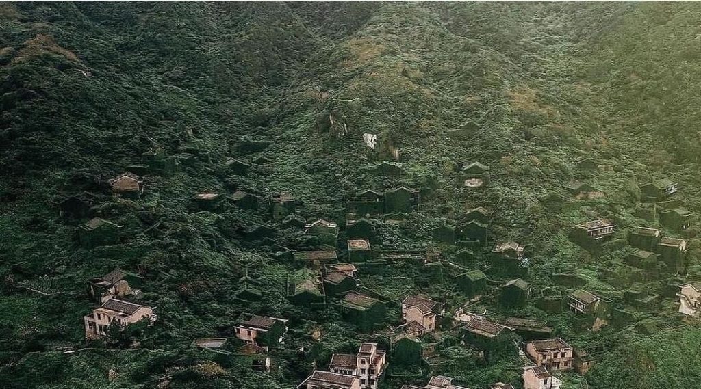 Amazing view of a village covered in bushes after humans disappeared
