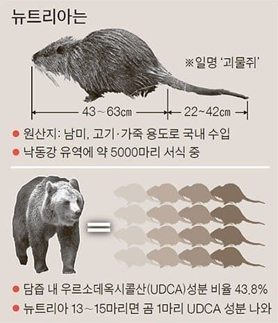 Why is the nutria population rapidly decreasing in Korea?