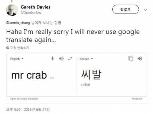Why foreign writers use Korean swear words in their works