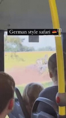 german style safari