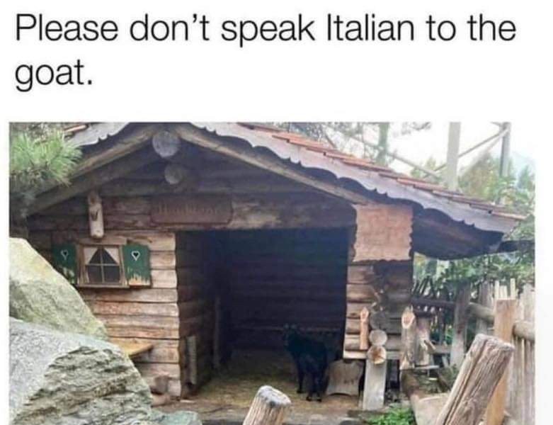 Caution: Don't speak Italian to goats