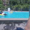 (SOUND)Dolphin pants falling into swimming pool water, dizzying buttocks exposed