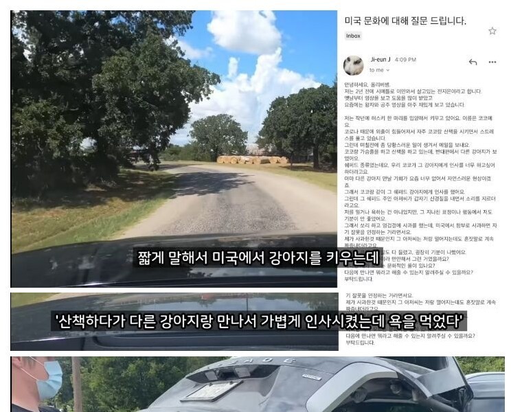 Why a Korean who was walking his dog in the U.S. was criticized