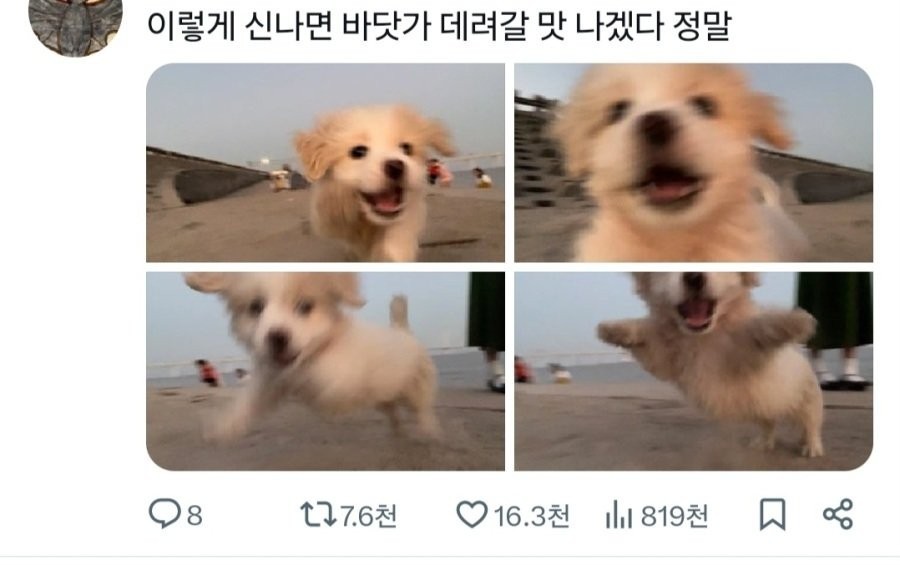 If you're this excited, it would be nice to take you to the beach, really.jpg